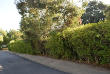 Enlarge photo 318