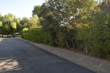 Enlarge photo 319