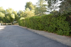 Enlarge photo 321