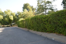 Enlarge photo 322