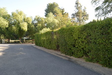 Enlarge photo 323