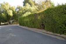 Enlarge photo 324
