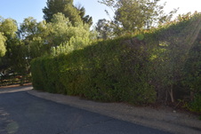 Enlarge photo 325