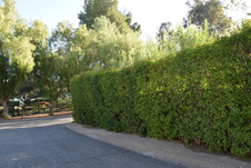 Enlarge photo 326