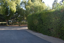Enlarge photo 327
