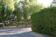 Enlarge photo 328