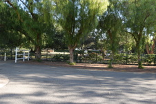 Enlarge photo 329