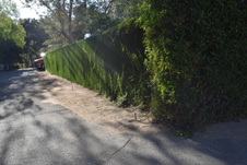 Enlarge photo 332