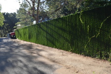 Enlarge photo 334