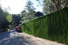 Enlarge photo 337