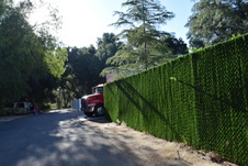 Enlarge photo 338