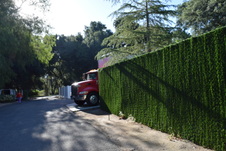 Enlarge photo 339