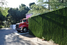 Enlarge photo 340