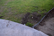 Enlarge photo 352