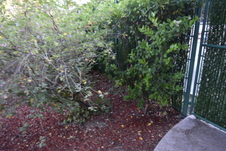 Enlarge photo 353