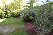 Enlarge photo 354