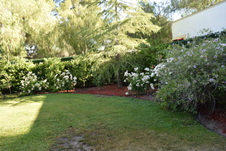 Enlarge photo 355