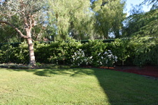 Enlarge photo 356