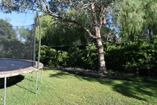 Enlarge photo 357