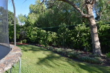 Enlarge photo 358
