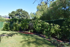 Enlarge photo 359