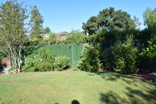 Enlarge photo 361