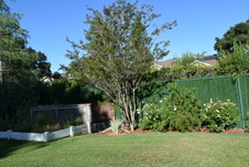 Enlarge photo 362