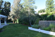 Enlarge photo 364