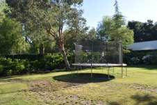 Enlarge photo 375