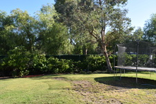 Enlarge photo 376