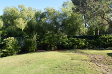 Enlarge photo 377
