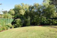 Enlarge photo 378