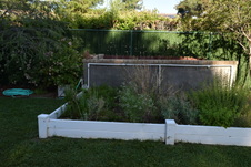 Enlarge photo 381
