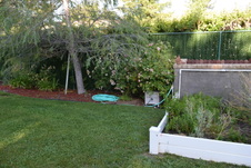 Enlarge photo 382