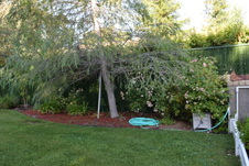 Enlarge photo 383