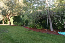 Enlarge photo 384