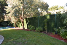 Enlarge photo 386