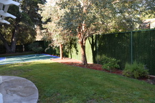Enlarge photo 387