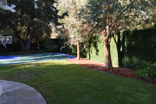 Enlarge photo 388