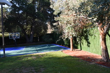 Enlarge photo 389