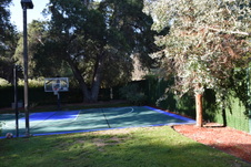 Enlarge photo 390
