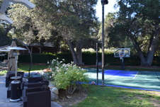 Enlarge photo 392