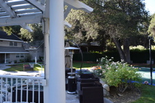 Enlarge photo 393