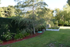 Enlarge photo 401