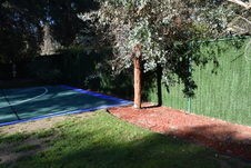 Enlarge photo 402