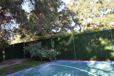 Enlarge photo 407