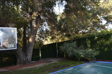Enlarge photo 408