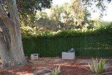 Enlarge photo 412