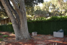 Enlarge photo 413