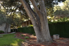 Enlarge photo 414